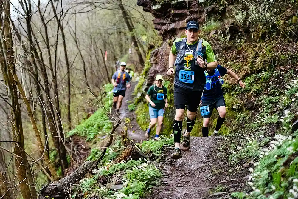 Coureurs dans la nature, trail de landeleau