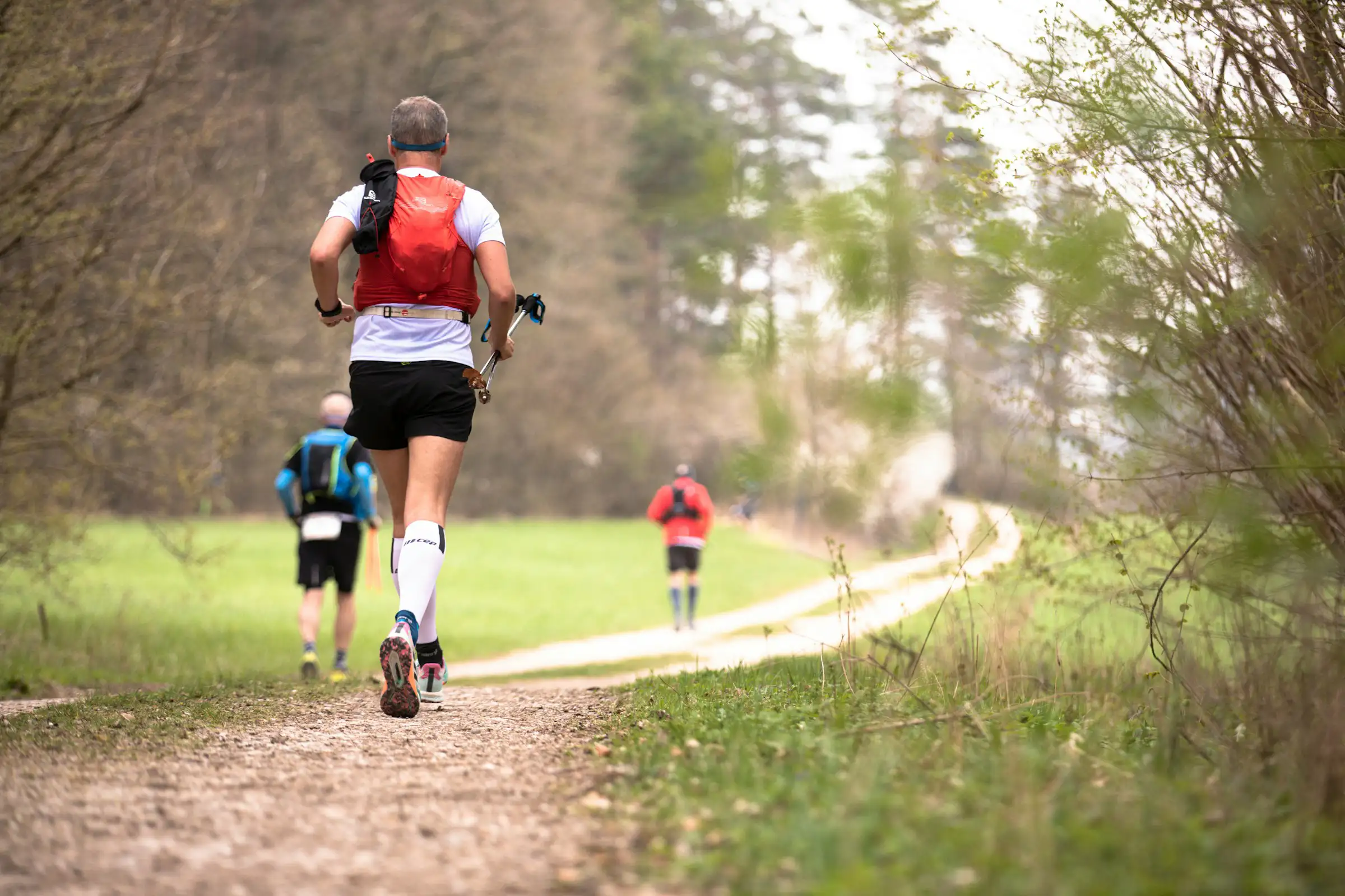 Coureurs dans la nature, trail
